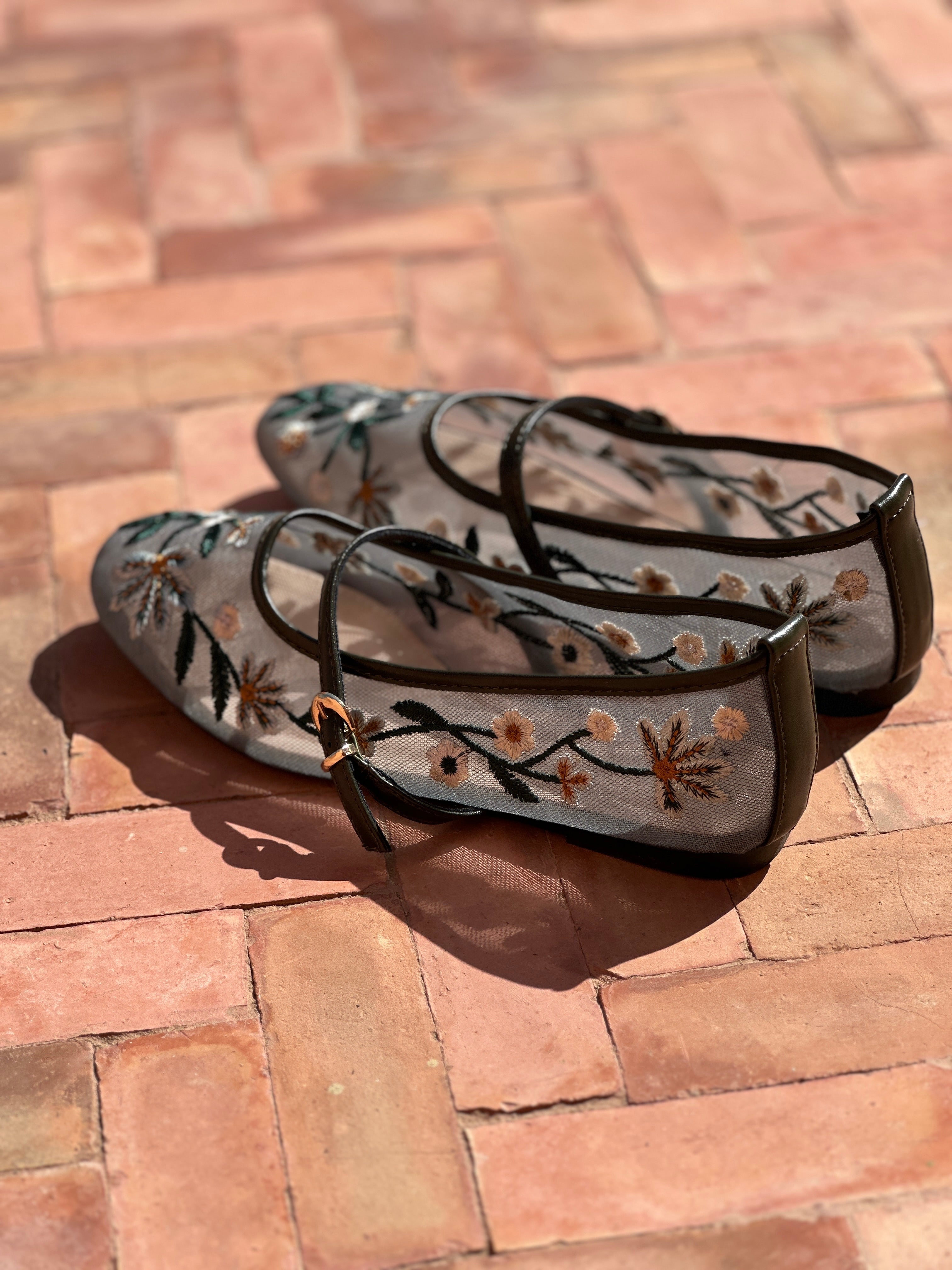 AMA ballerinas