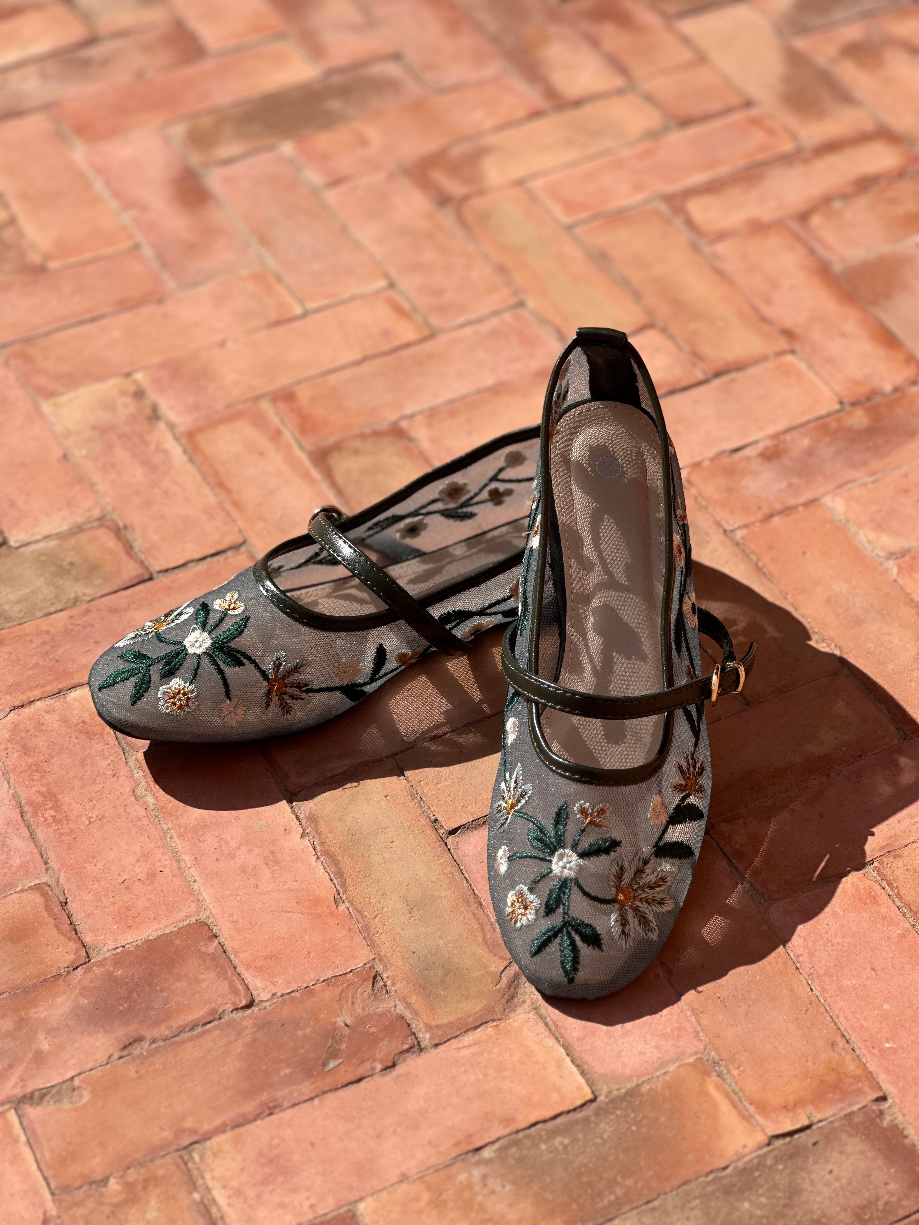 AMA ballerinas